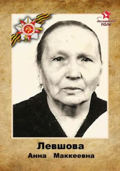 Левшова А.М.